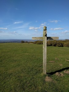 Lying fingerpost